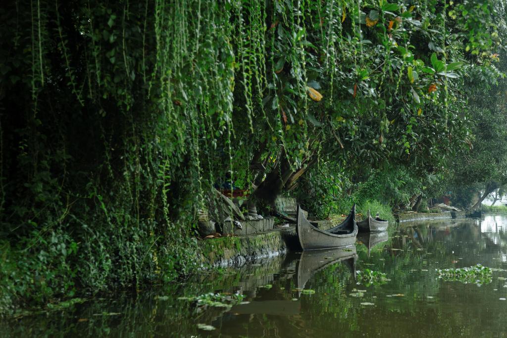 Palmgrove Lake Resort Alappuzha Dış mekan fotoğraf